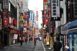 新疆导游爆料新闻,揭秘神秘新疆背后的真实故事