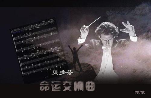 命运交响曲在线观看,在线观看，感受音乐的力量与激情